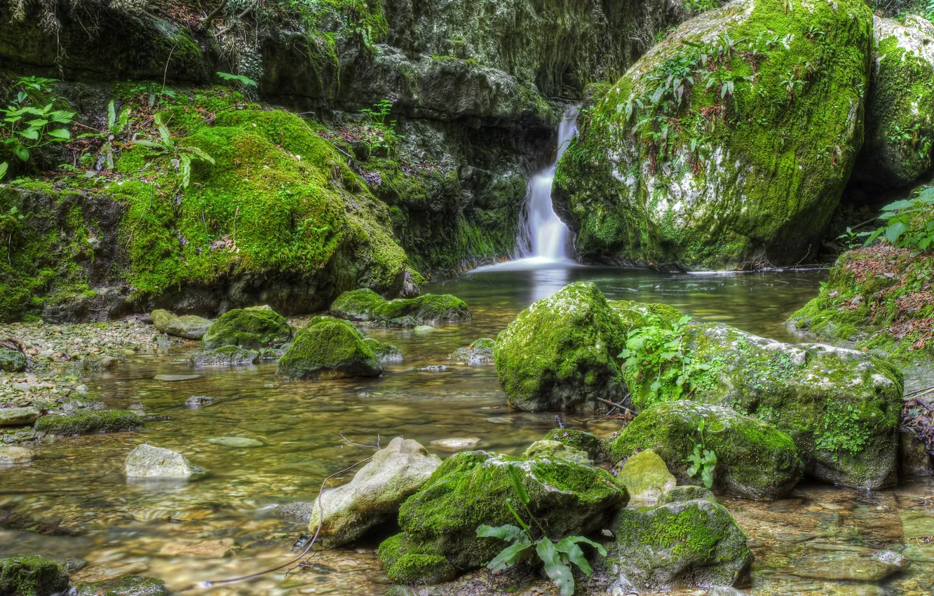 Photo wallpaper stream, stones, waterfall, moss, HDR, Italy, Veneto, Mondrago