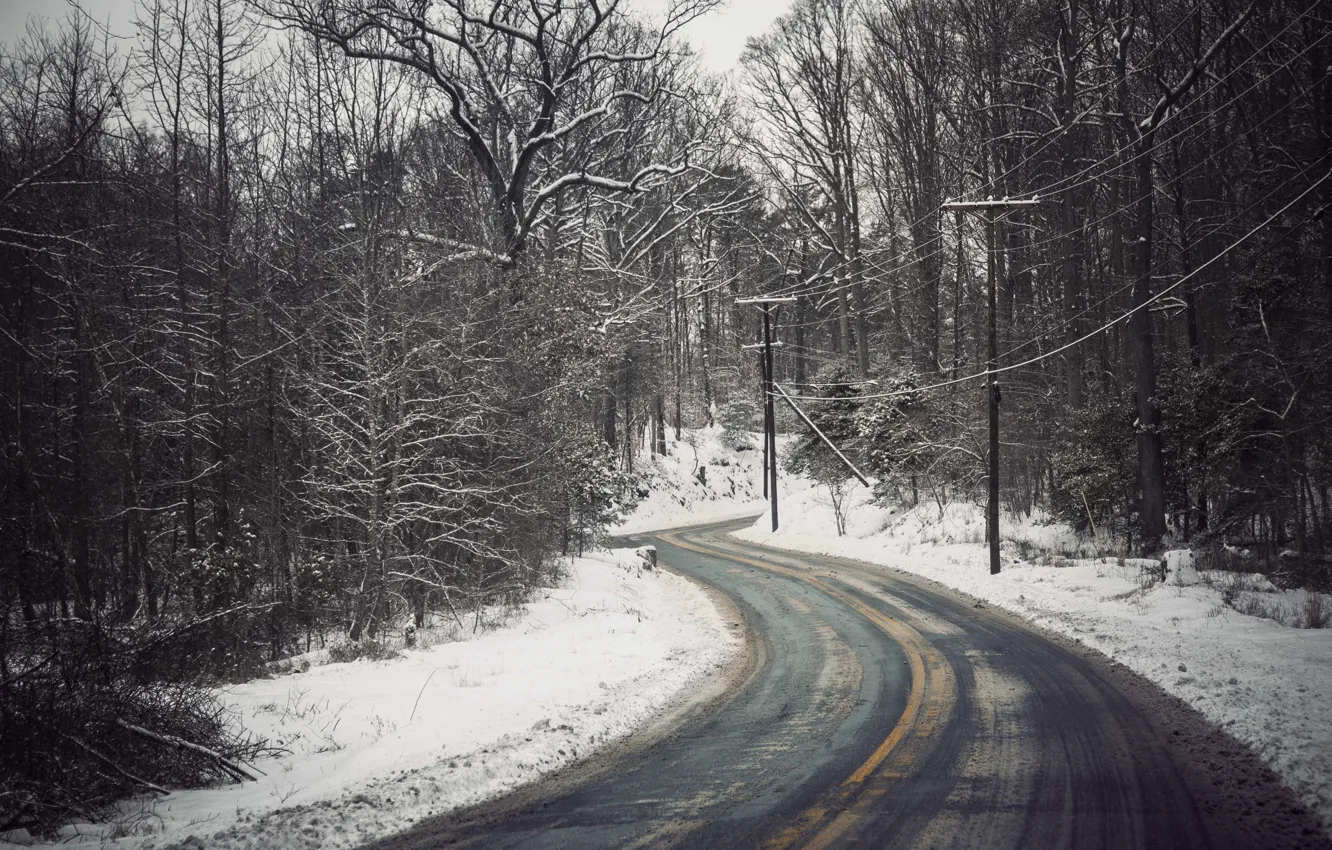 Photo wallpaper winter, road, snow, trees, branches, nature, posts