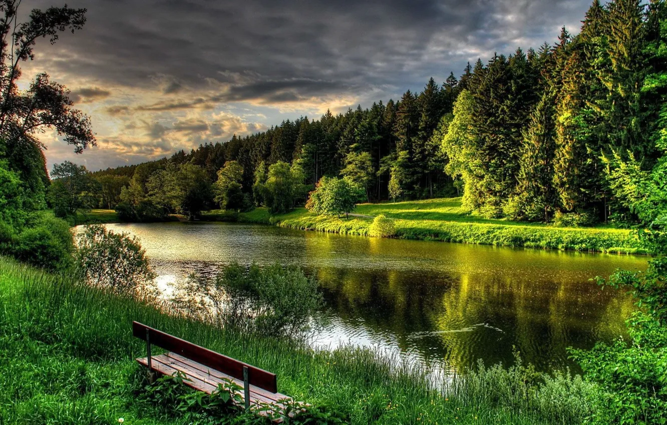Photo wallpaper forest, river, landscape, clouds, bench