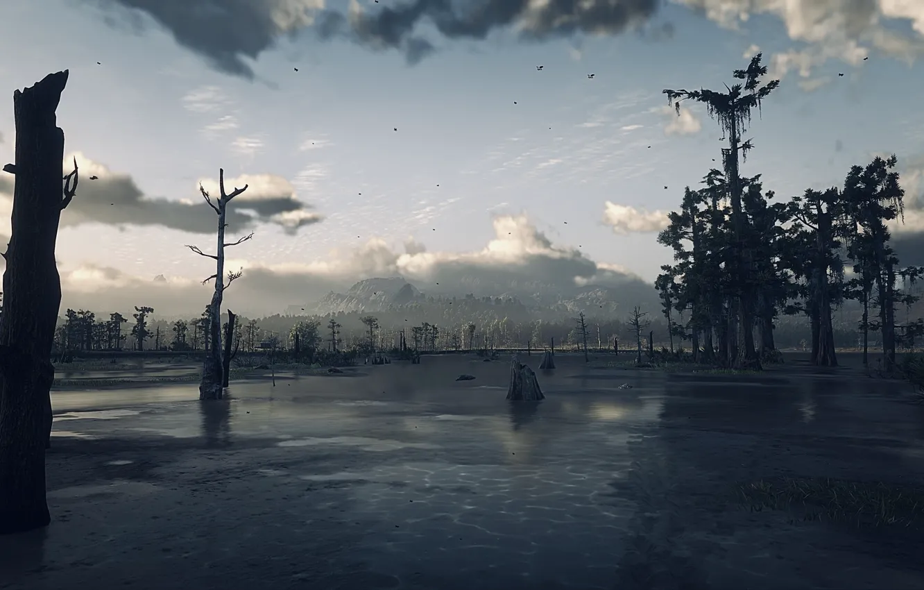 Photo wallpaper HDR, game, trees, wood, clouds, mountain, birds, mud