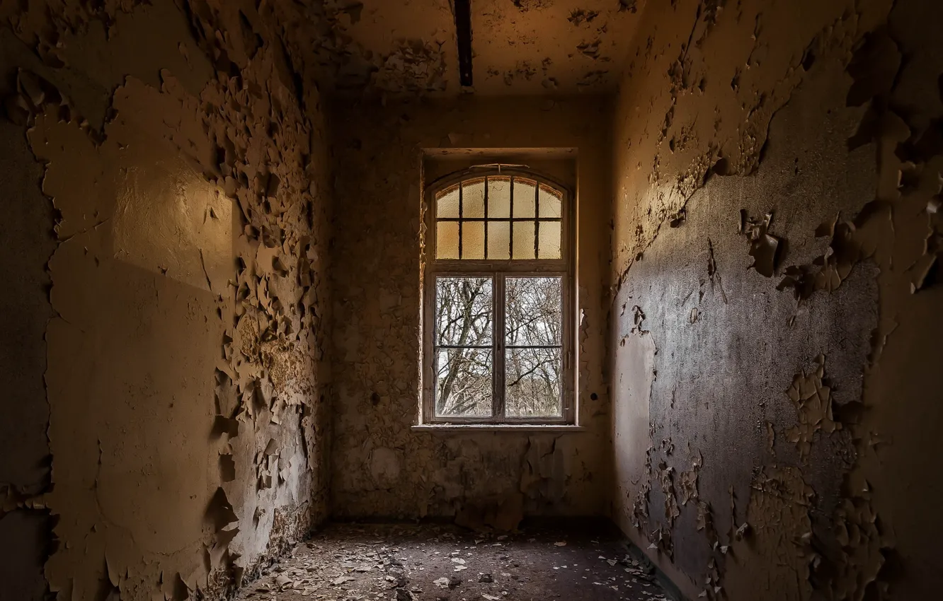 Photo wallpaper background, room, window