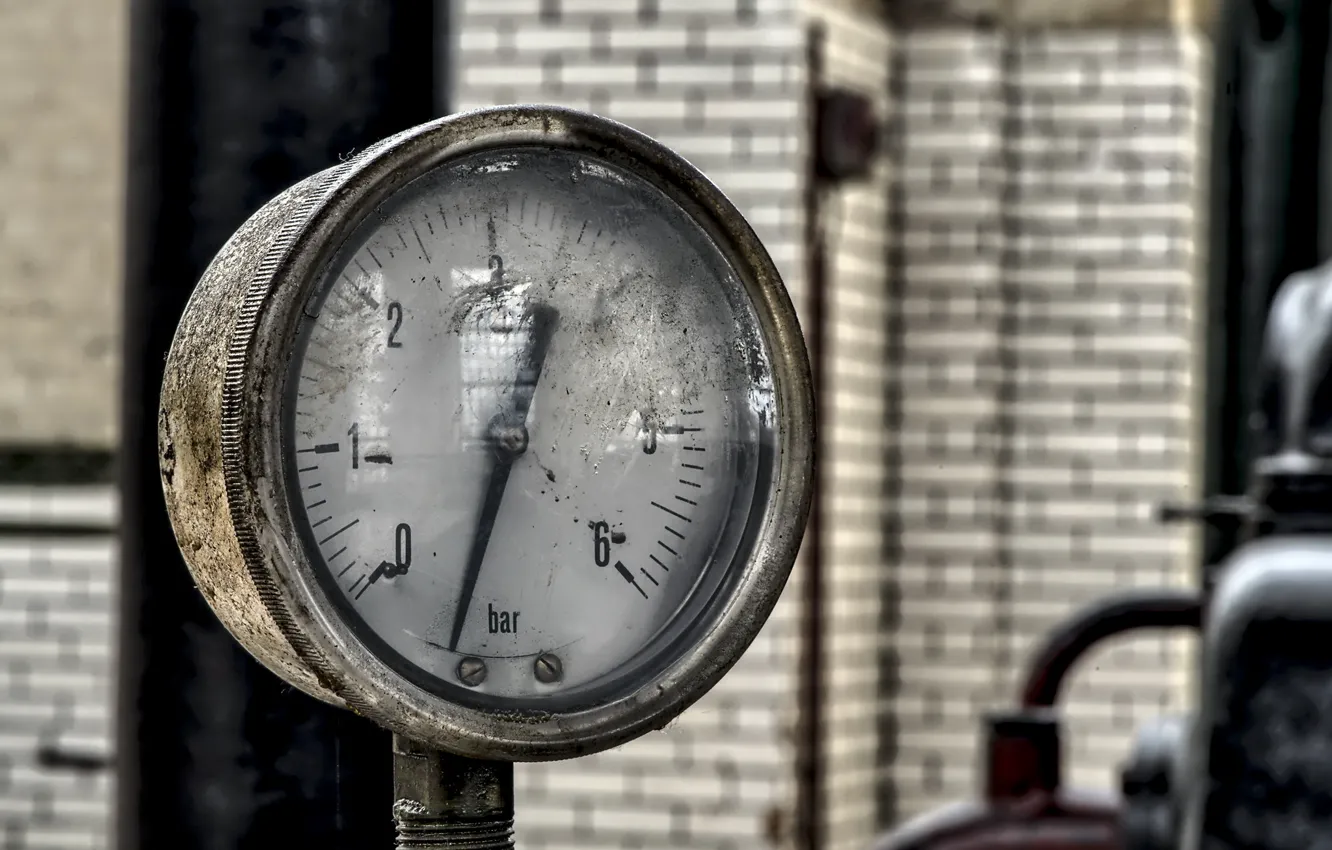 Photo wallpaper macro, background, devices