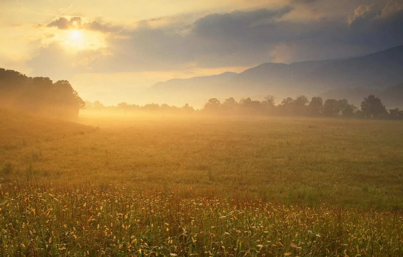 Photo wallpaper the sun, clouds, mountains, sunrise, meadow, Tn, Great Smoky Mountain national Park