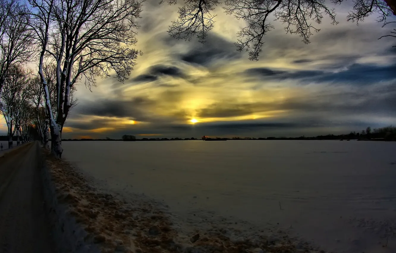 Photo wallpaper winter, field, snow, trees, the evening, frost