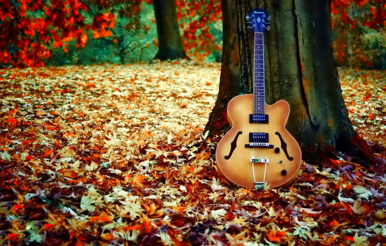 Photo wallpaper colors, colorful, golden, nature, beautiful, glow, autumn, leaves