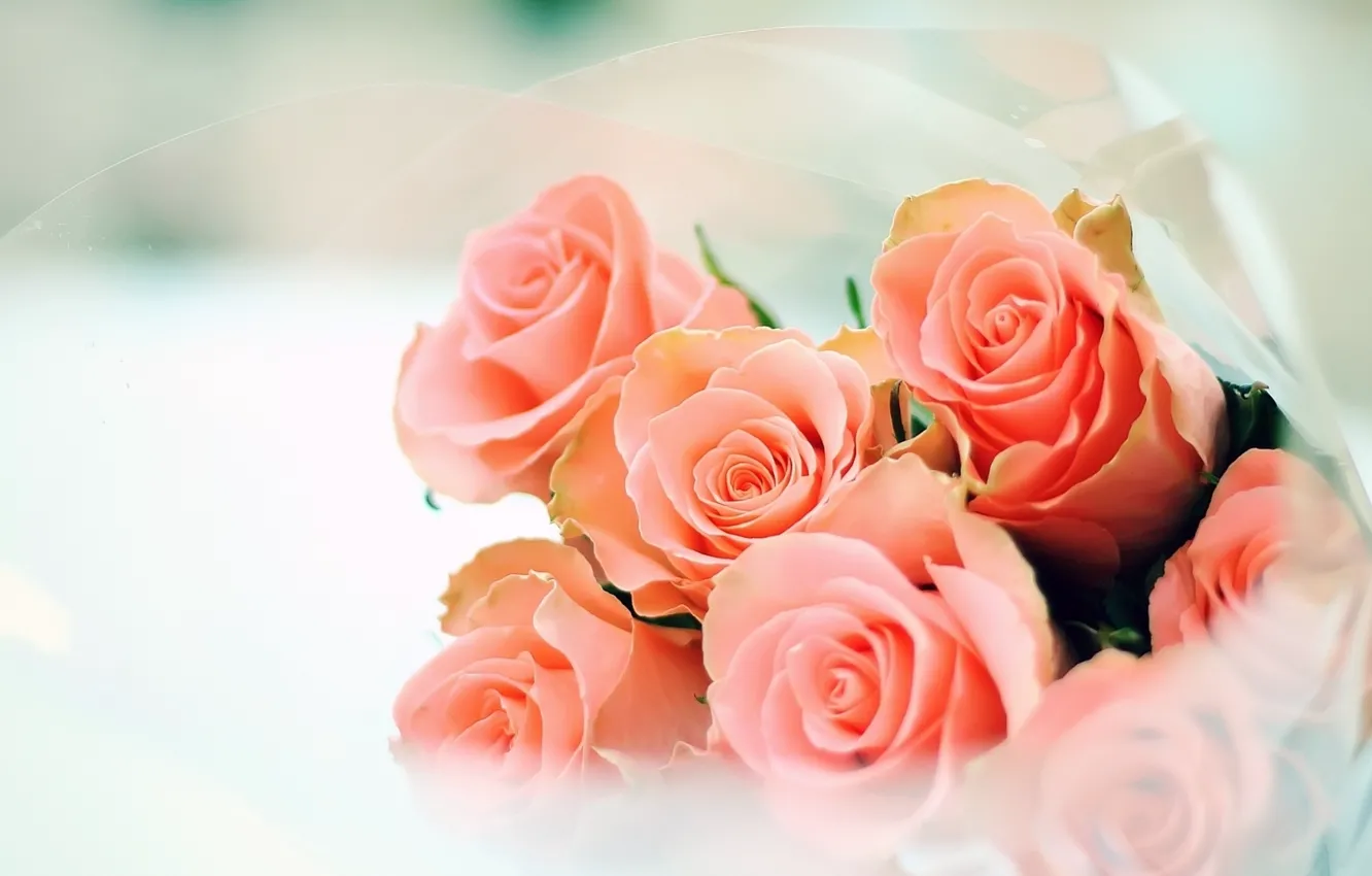 Photo wallpaper flowers, roses, bouquet