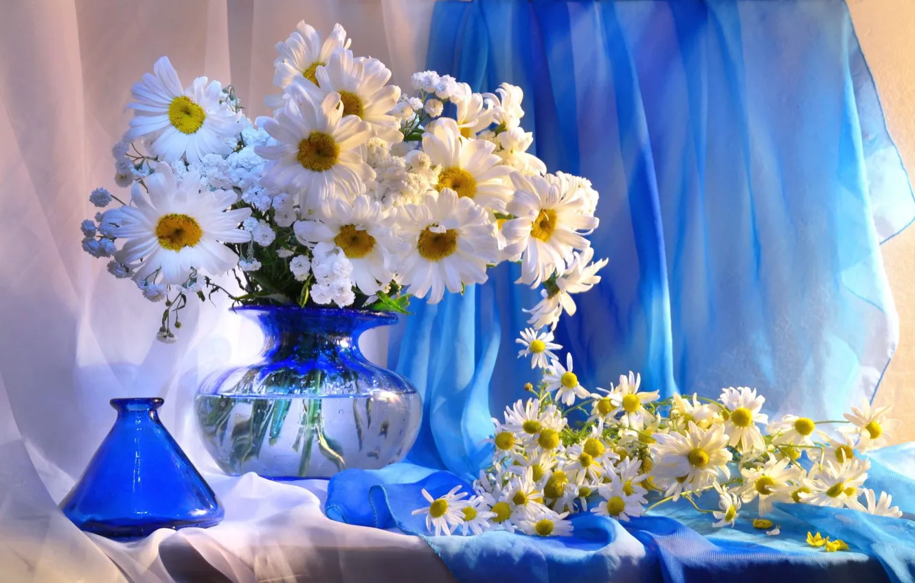 Photo wallpaper flowers, chamomile, vase, still life