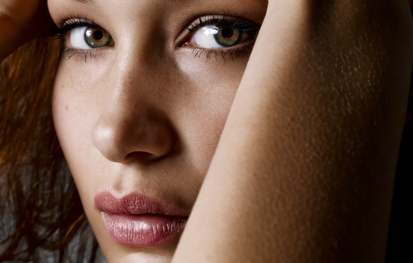 Photo wallpaper girl, face, model, large, Bella Hadid