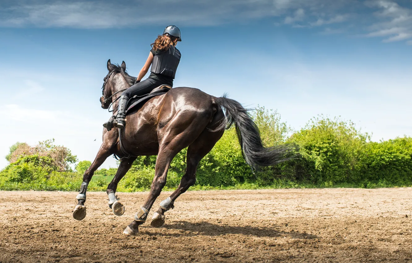 Photo wallpaper Girl, Horse, Sport, Running, Rider, Horse Riding