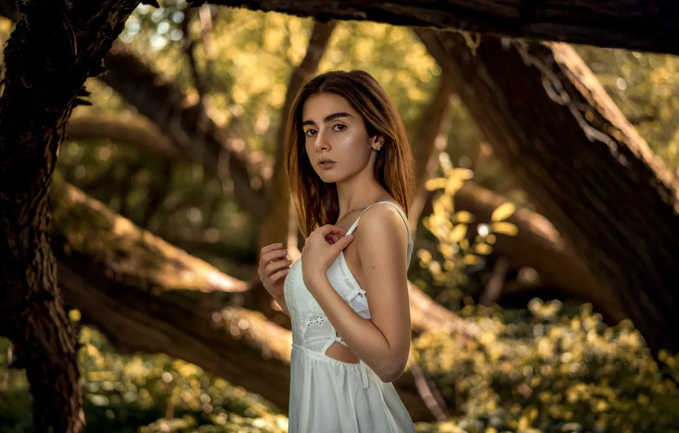 Photo wallpaper look, the sun, trees, model, portrait, makeup, dress, hairstyle
