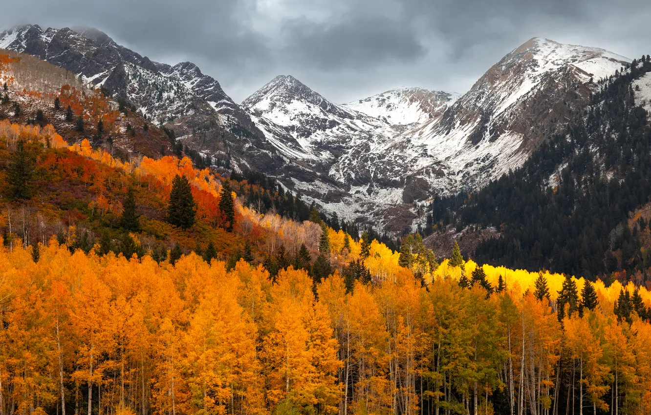 Photo wallpaper autumn, forest, the sky, clouds, snow, mountains, tops, the colors of autumn