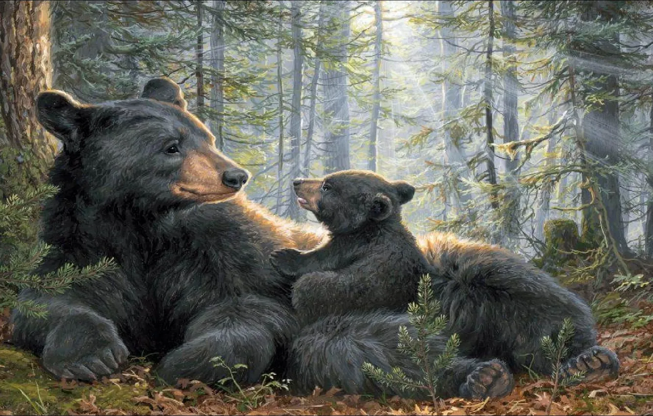 Photo wallpaper picture, morning, bear, forest, painting, two, two, morning