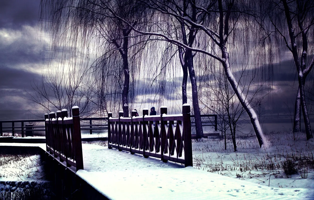 Photo wallpaper winter, snow, landscape, winter, snow, scenery