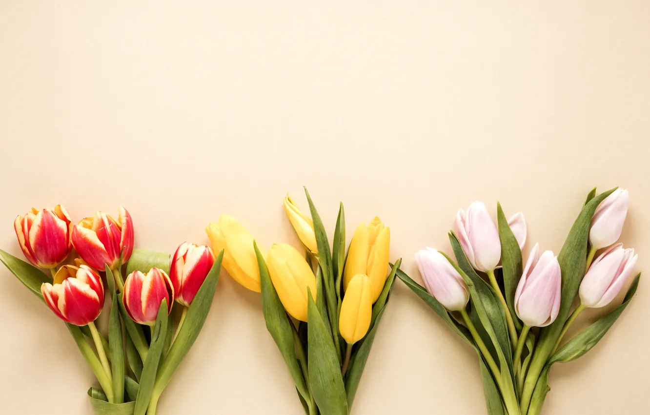 Photo wallpaper flowers, bouquet, colorful, tulips, flowers, tulips, spring