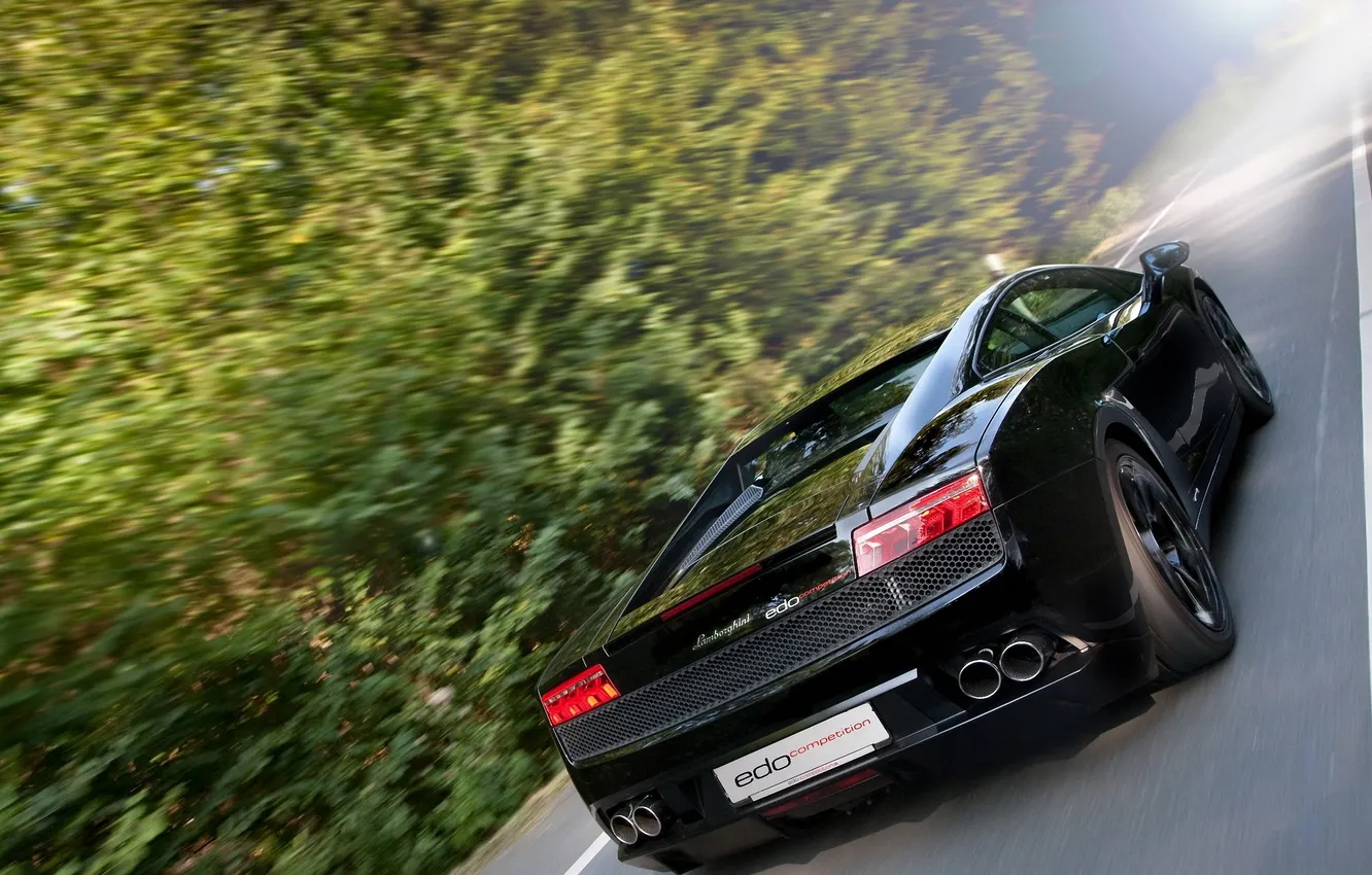 Photo wallpaper road, forest, trees, movement, rear view, Lamborghini, Gallardo, лп600
