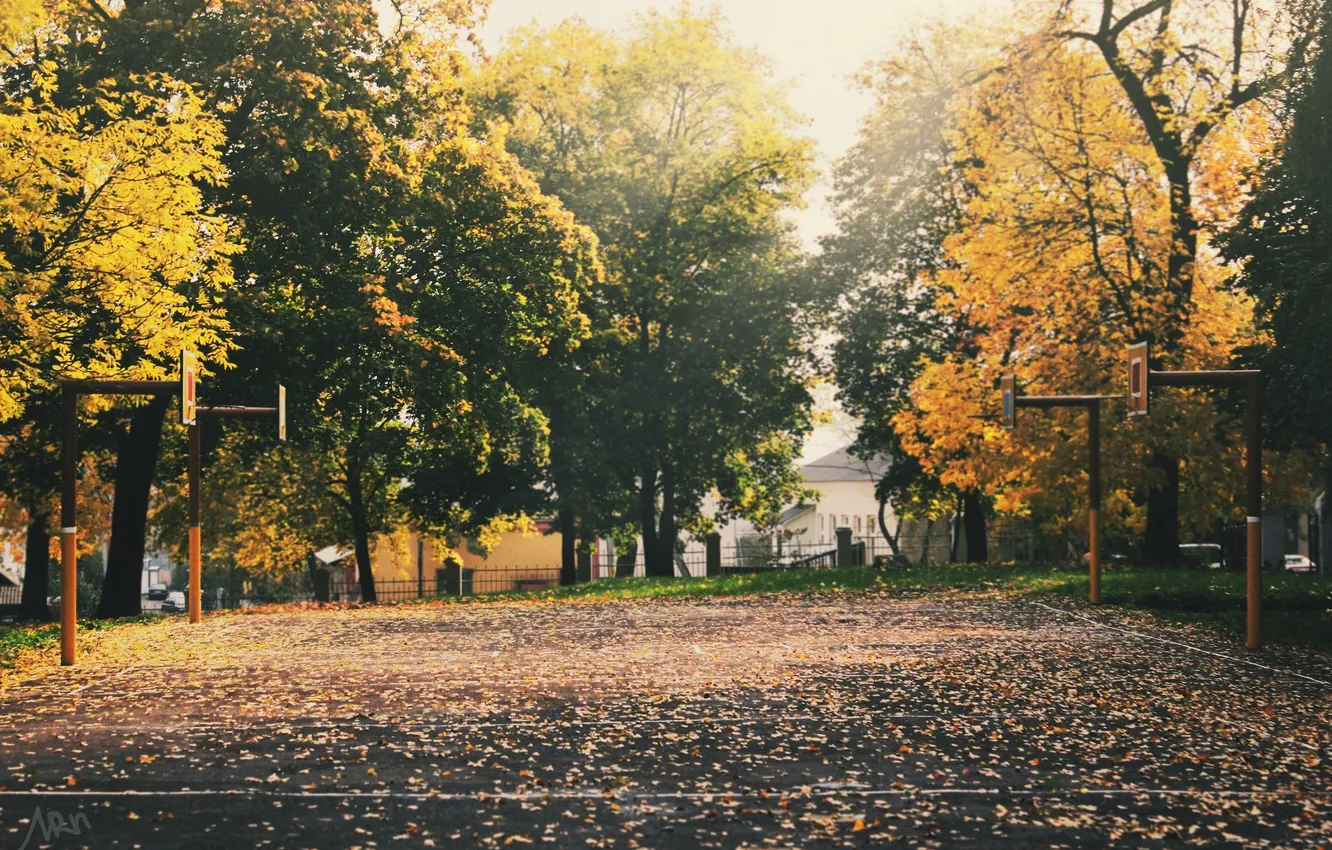 Photo wallpaper autumn, trees, ring, basketball, Asphalt