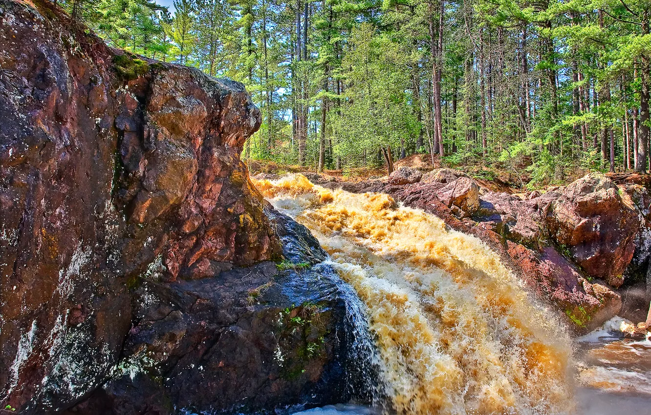 Photo wallpaper forest, trees, river, rocks, stream, USA, viskonsin