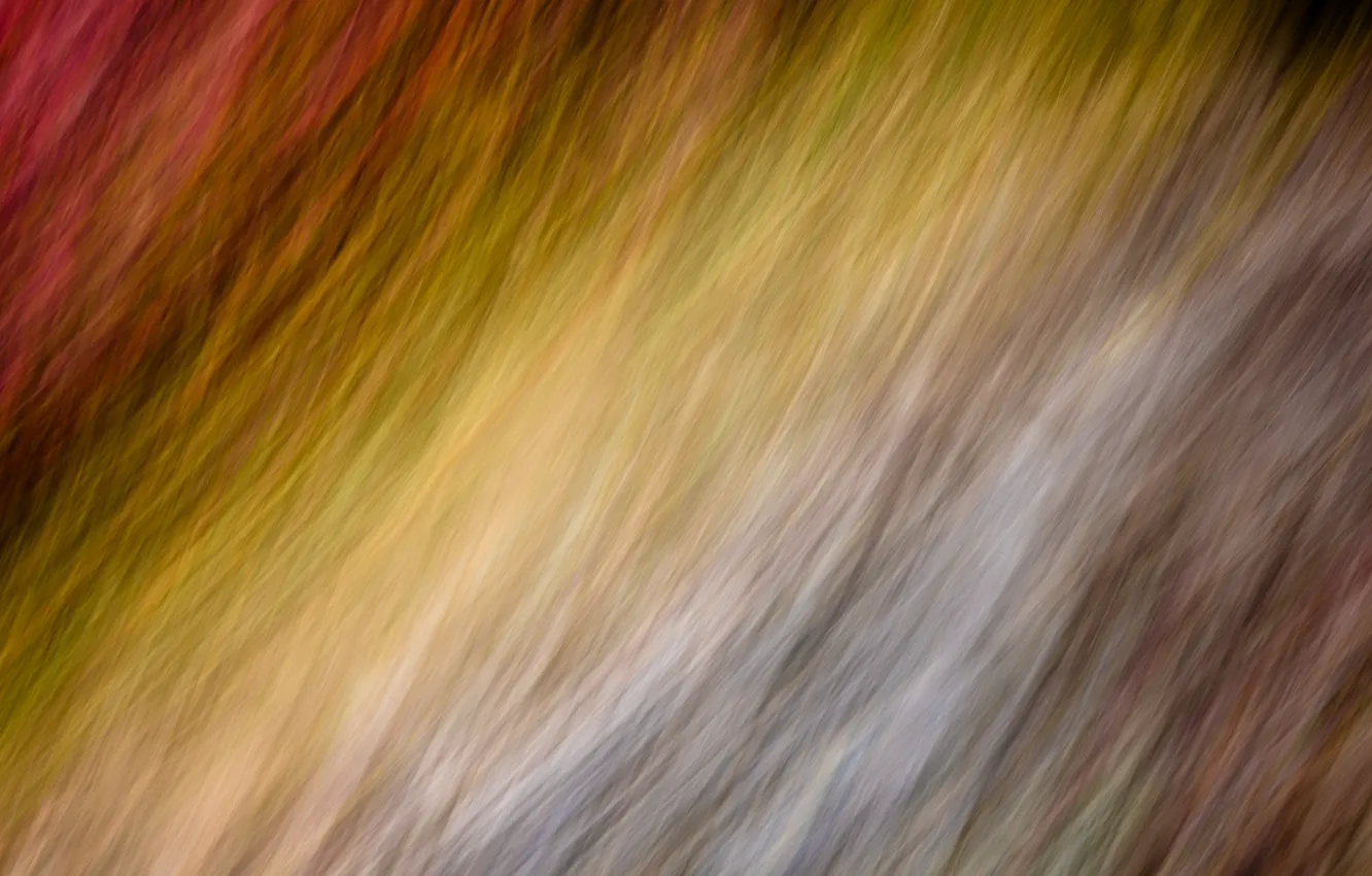 Photo wallpaper background, color, texture