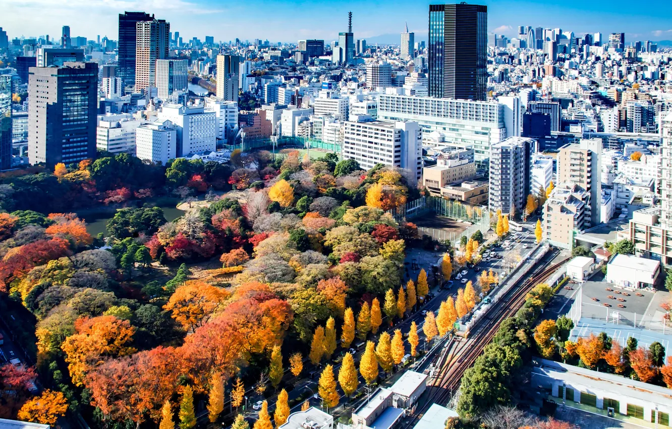 Photo wallpaper autumn, trees, the city, building, skyscrapers, panorama