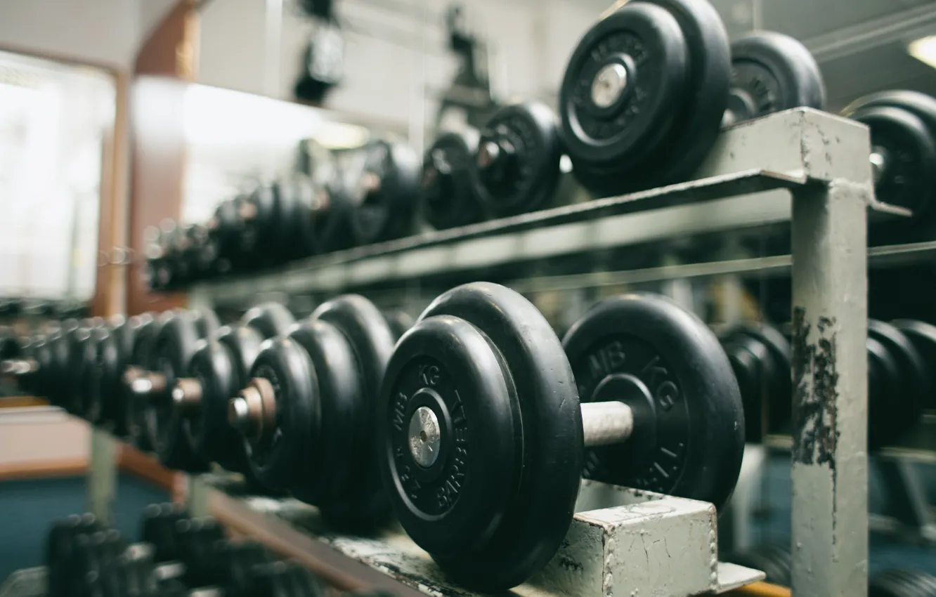 Photo wallpaper fitness, dumbells, gym