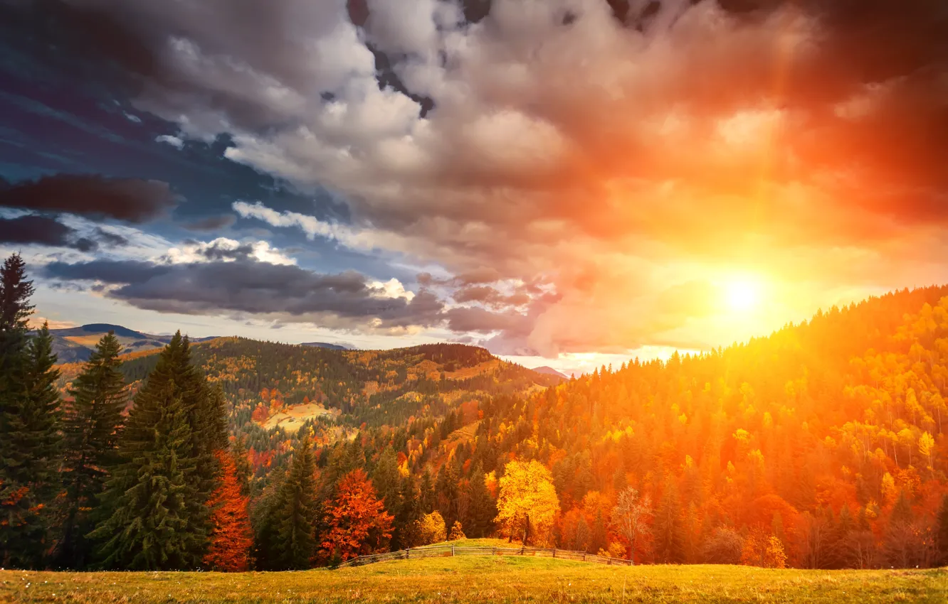 Photo wallpaper autumn, forest, the sky, grass, the sun, clouds, trees, mountains