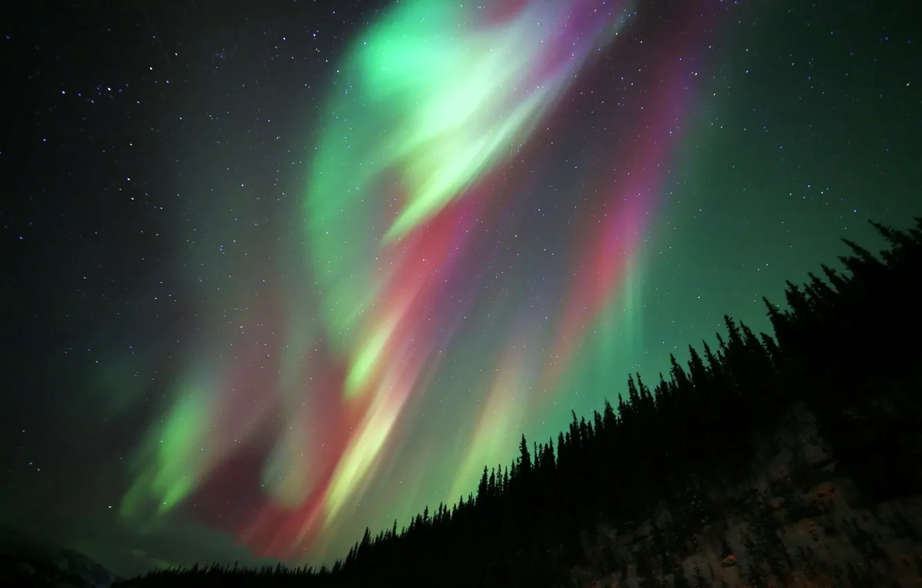 Photo wallpaper stars, night, nature, Northern lights