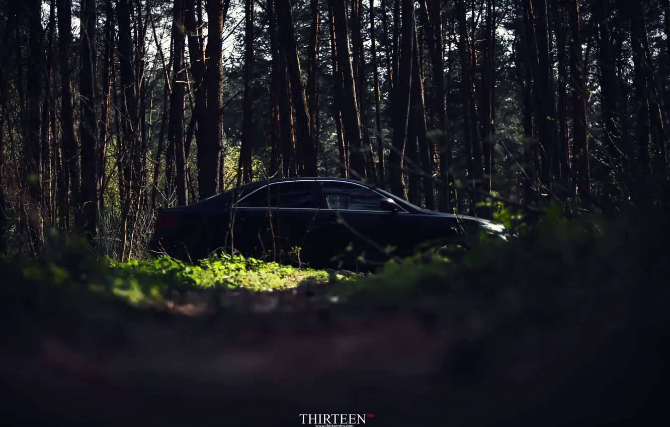 Photo wallpaper machine, auto, forest, trees, photographer, auto, photography, photographer