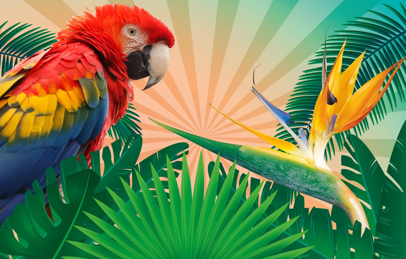 Photo wallpaper leaves, branches, tropics, rendering, background, bird, vector, feathers