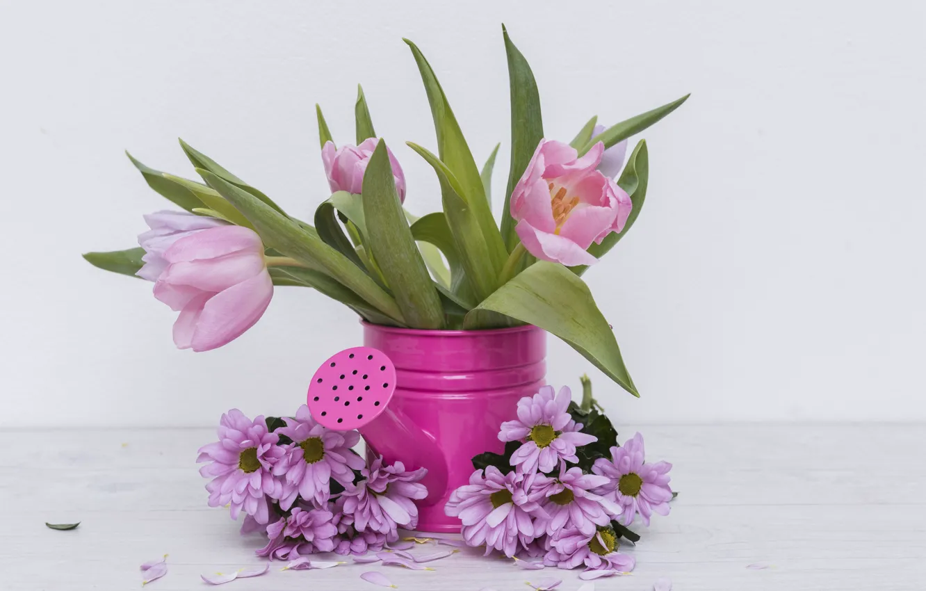 Photo wallpaper flowers, tulips, lake, chrysanthemum