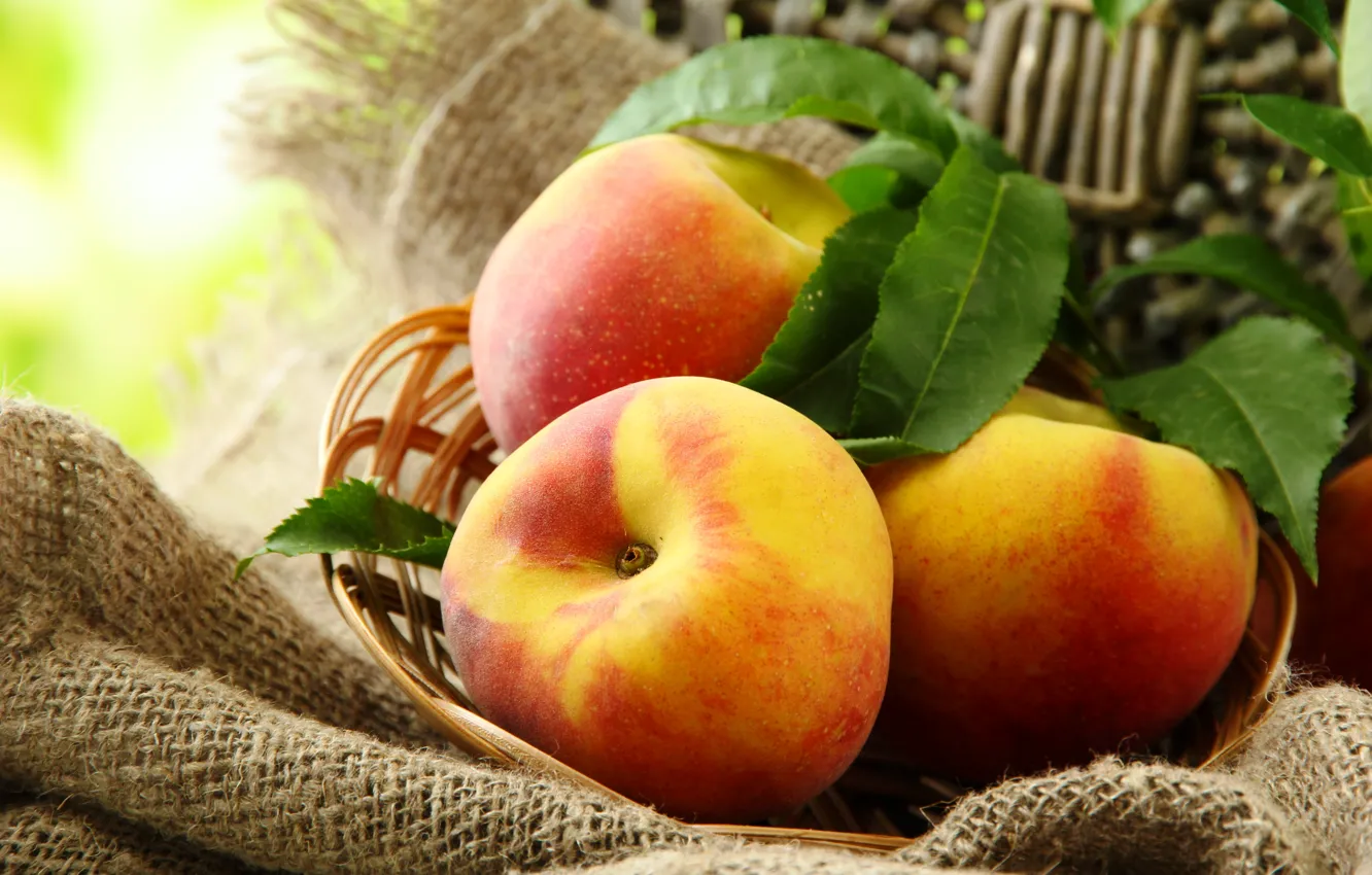 Photo wallpaper summer, leaves, basket, fruit, peaches