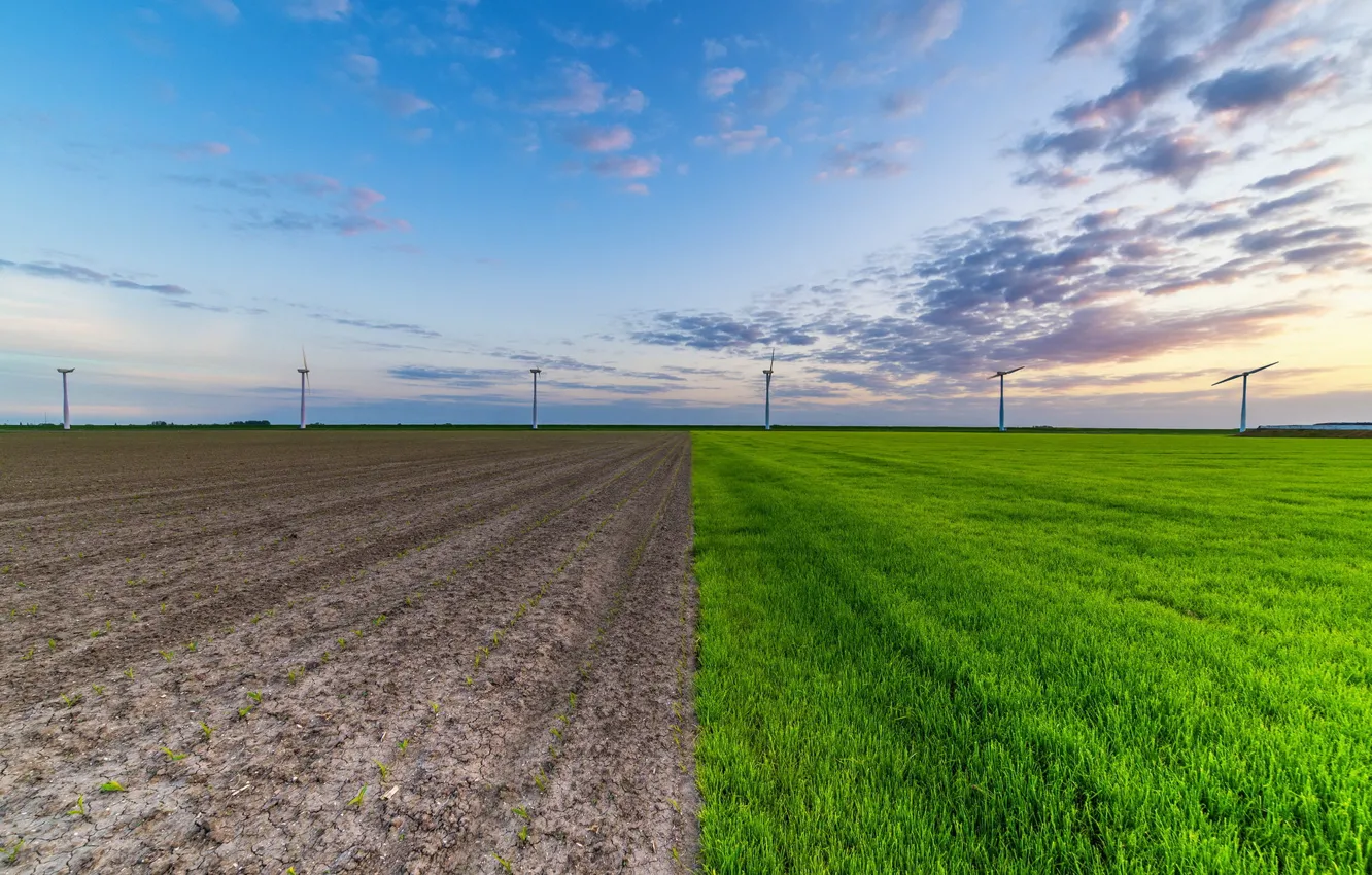 Photo wallpaper field, the sky, windmills