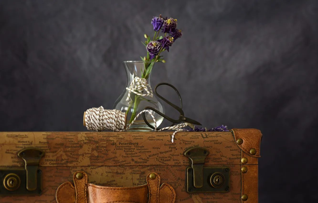 Photo wallpaper flowers, rope, vase, suitcase, still life, a bunch, scissors, Aquilegia