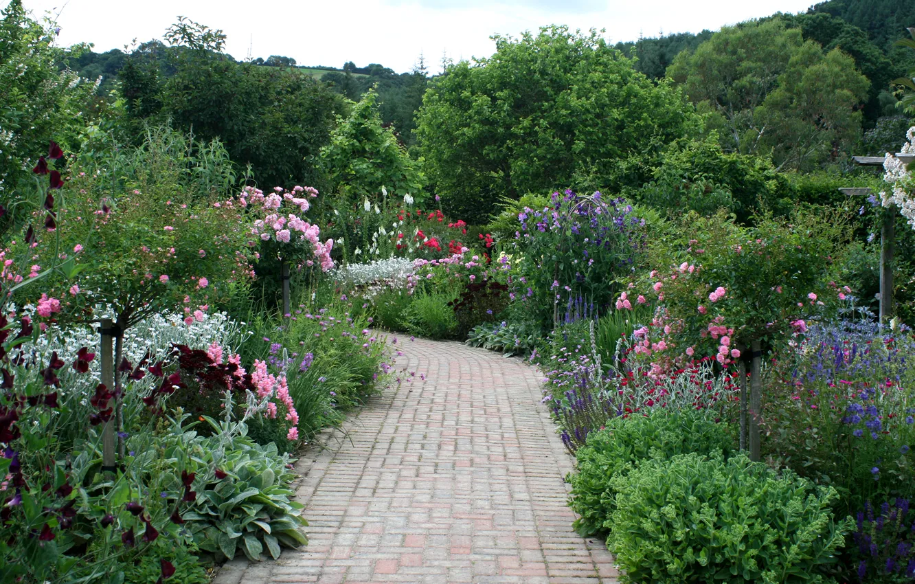 Photo wallpaper trees, flowers, garden, track, UK, the bushes, Rosemoor Rose Garden