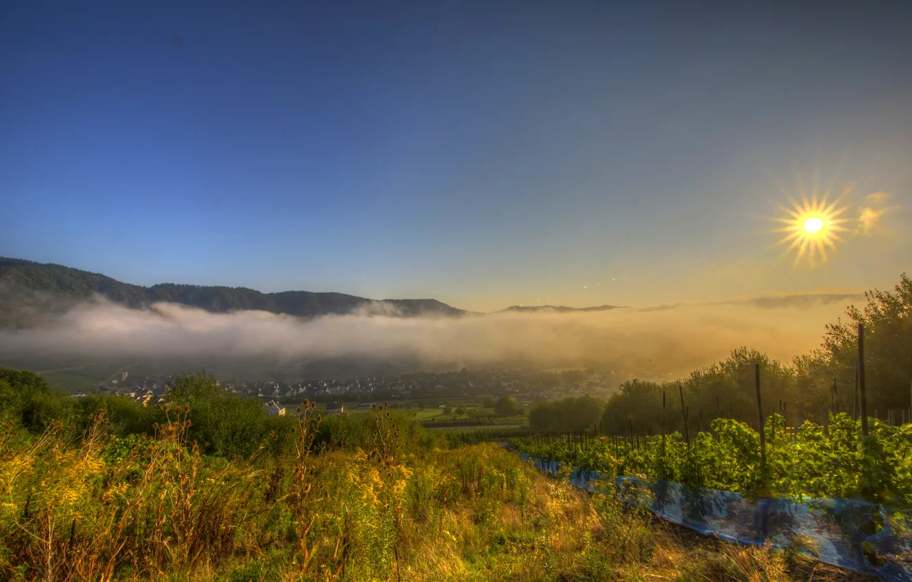 Photo wallpaper the sky, the sun, rays, mountains, fog, dawn, Germany, valley