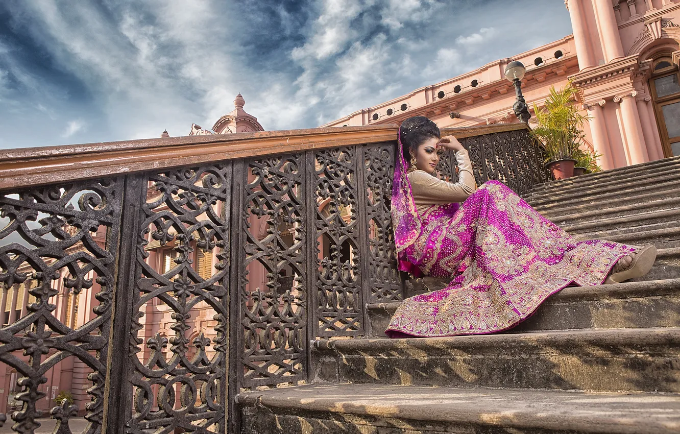 Photo wallpaper ladder, Indian, saree