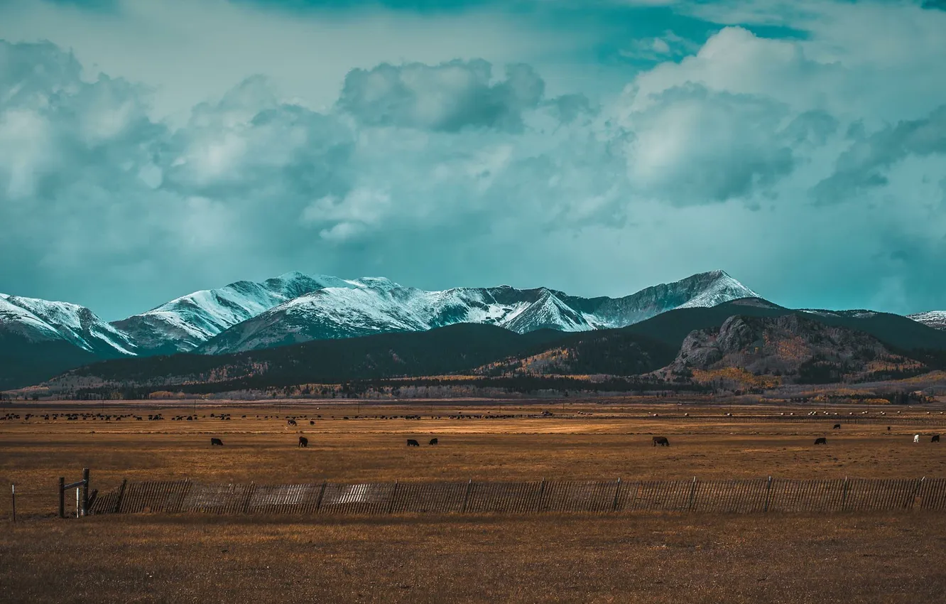 Photo wallpaper field, clouds, snow, mountains