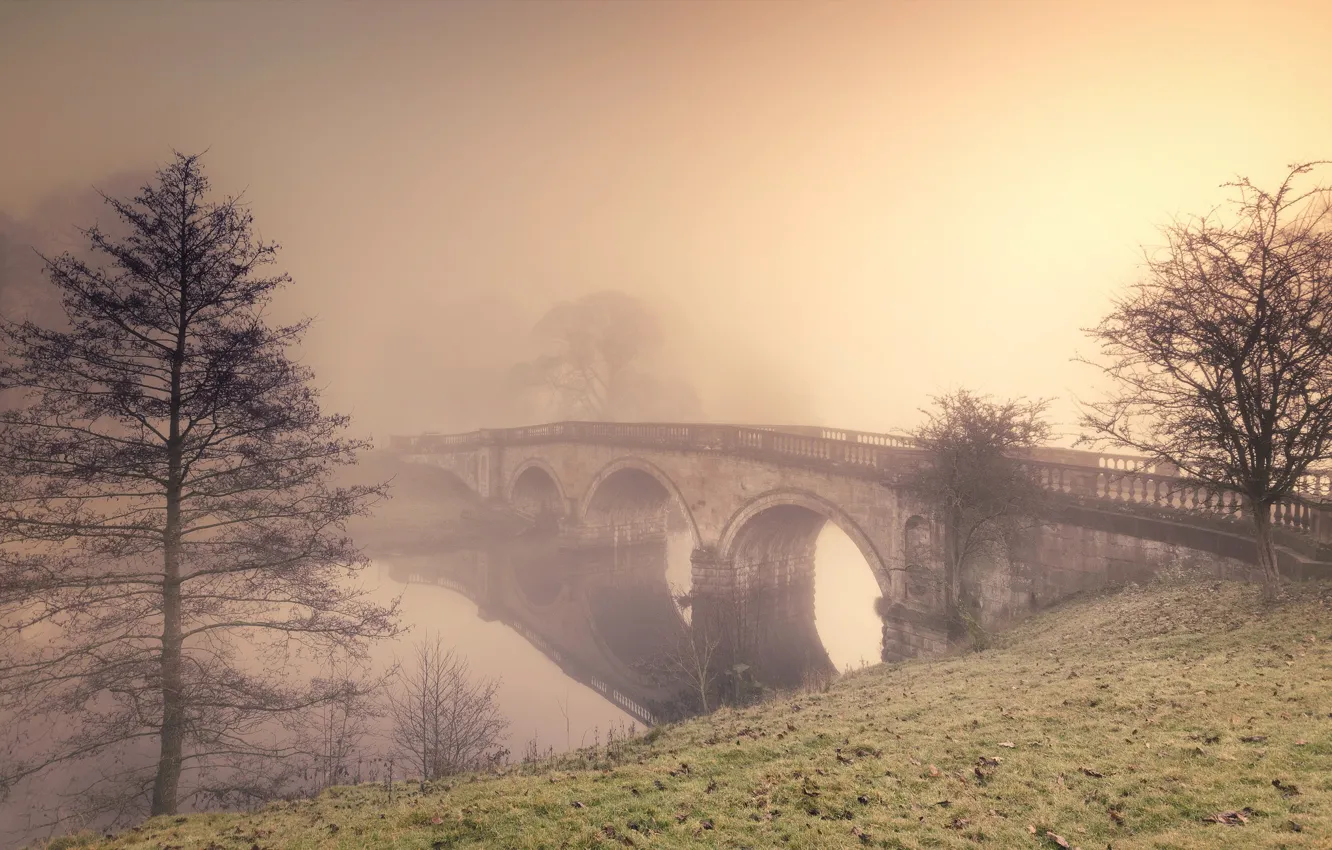 Photo wallpaper bridge, fog, river