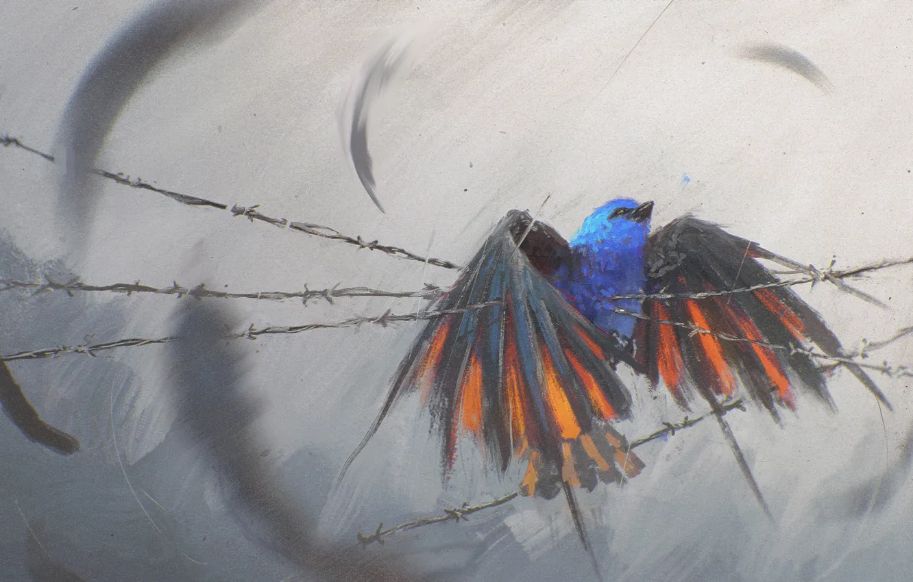 Photo wallpaper bird, wire, wings, art