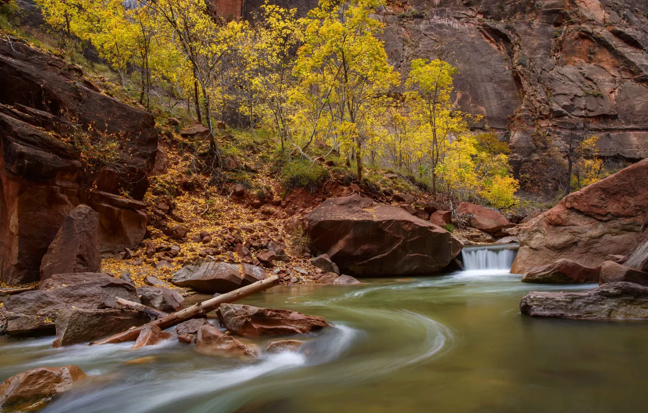 Photo wallpaper trees, river, stream, stones, rocks, canyon, Utah, USA