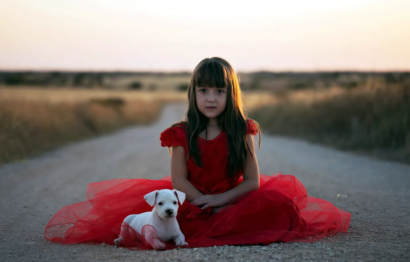 Photo wallpaper road, dog, girl