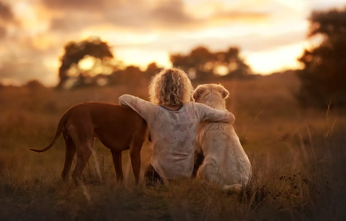 Photo wallpaper girl, each, dog