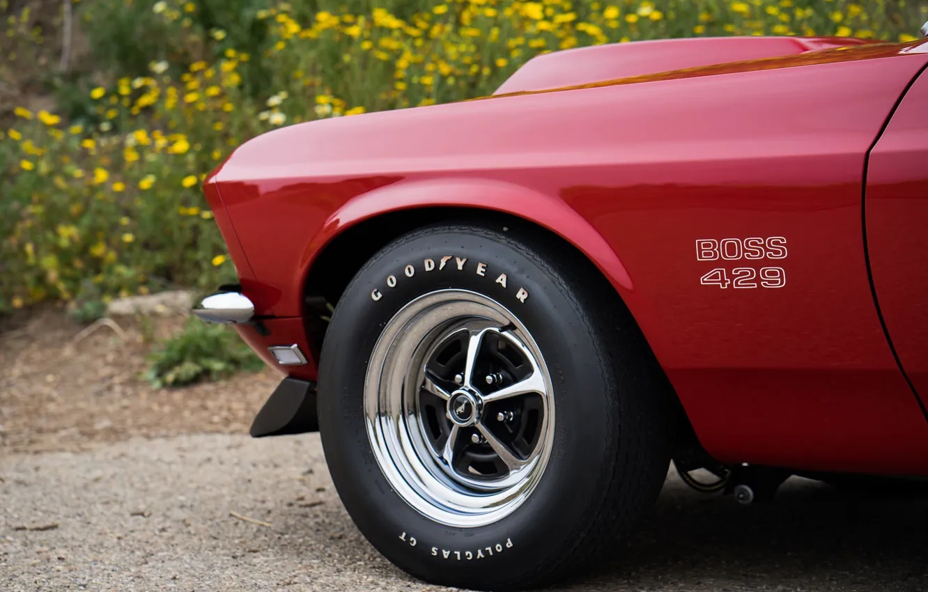 Photo wallpaper car, Mustang, Ford, Muscle, 1969, red, Classic, Boss