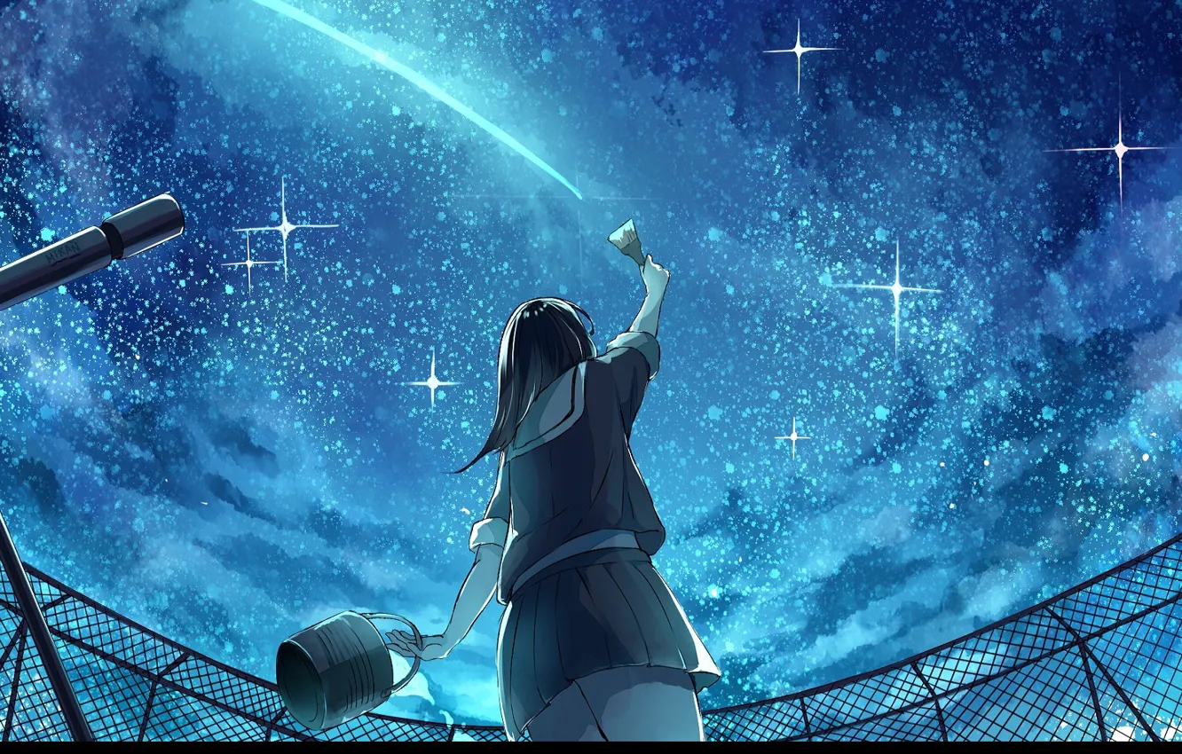 Photo wallpaper roof, night, back, the fence, schoolgirl, brush, telescope, starry sky