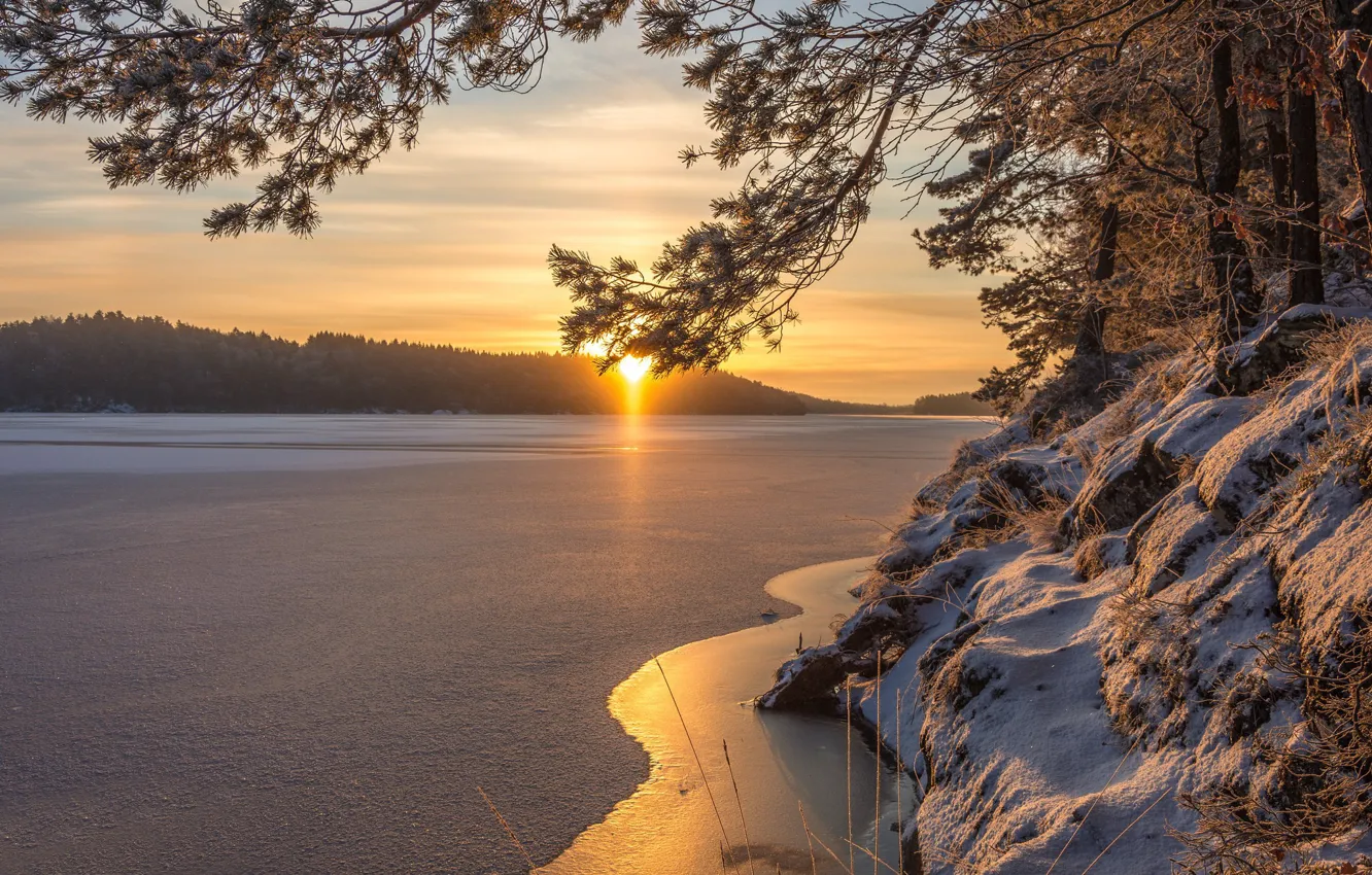 Photo wallpaper winter, lake, dawn, morning, Sweden, Sweden