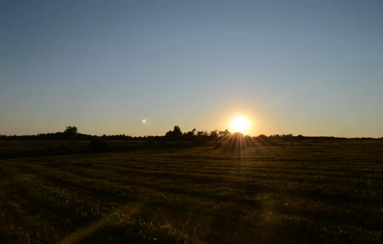Photo wallpaper field, the sun, rays, sunset, the evening