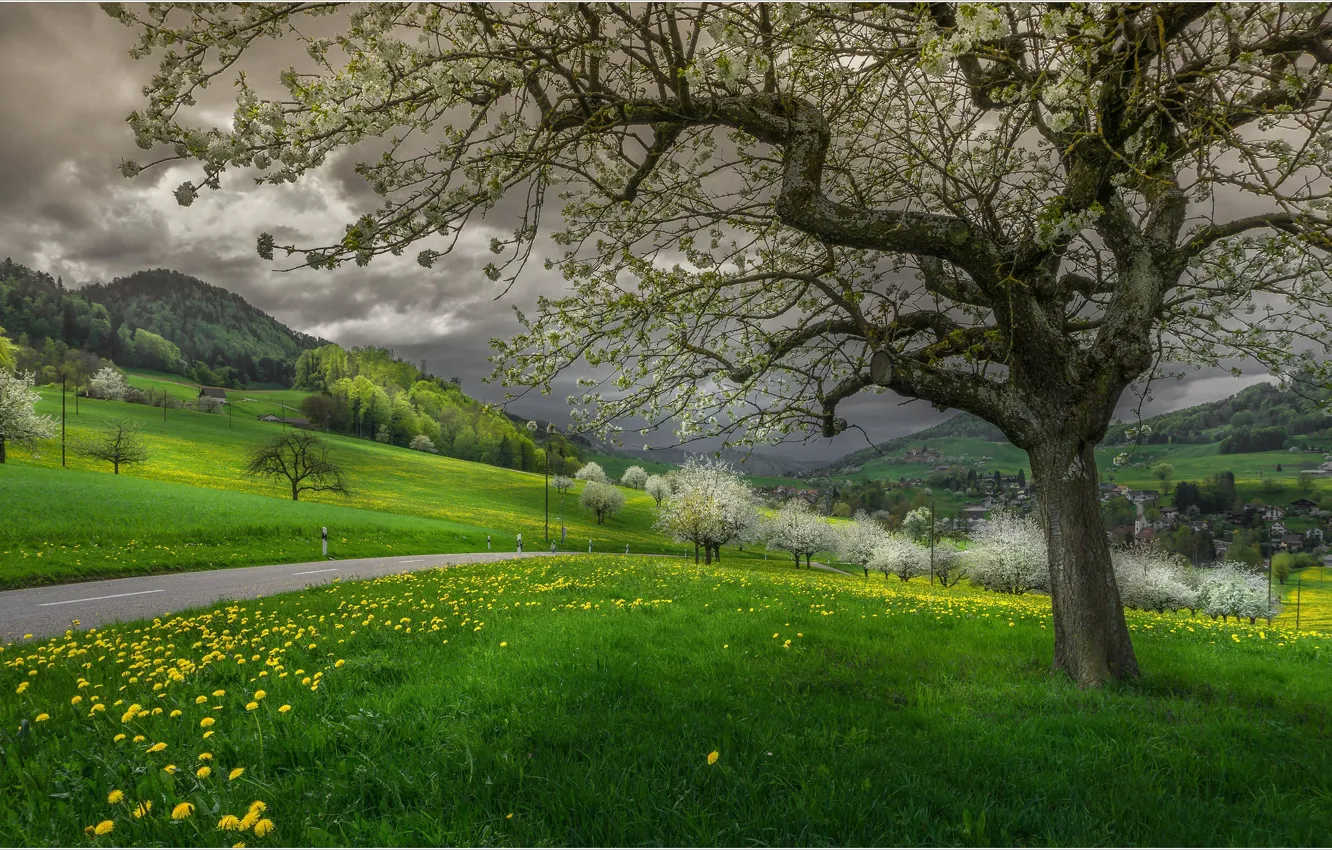 Photo wallpaper grass, clouds, spring, Switzerland