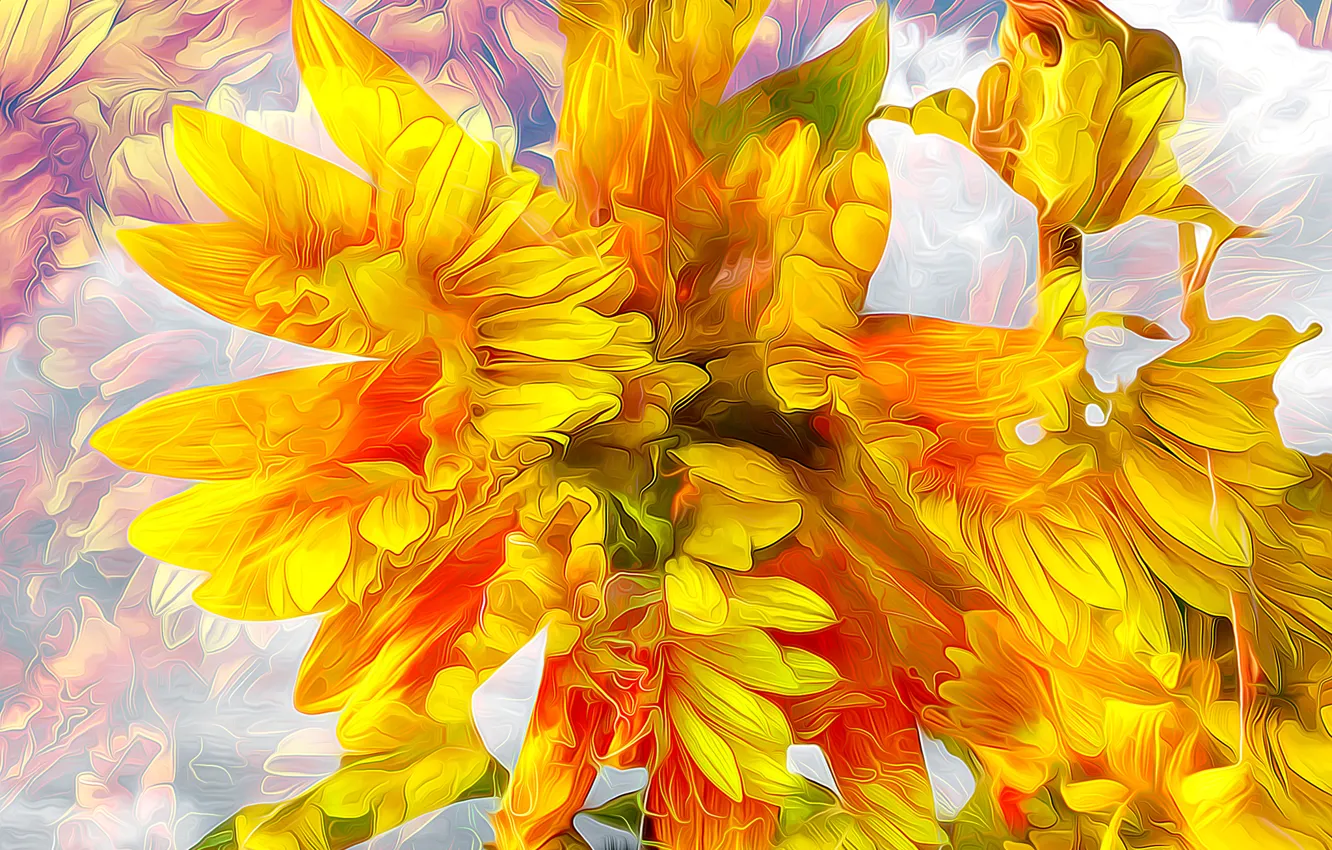 Photo wallpaper flowers, nature, petals, garden