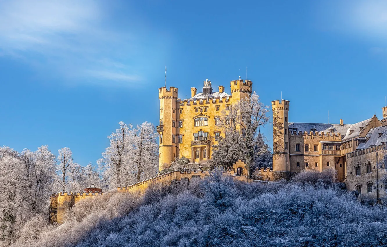 Photo wallpaper trees, castle, hills, Germany, Bayern, Germany, Bavaria, Castle Hohenschwangau