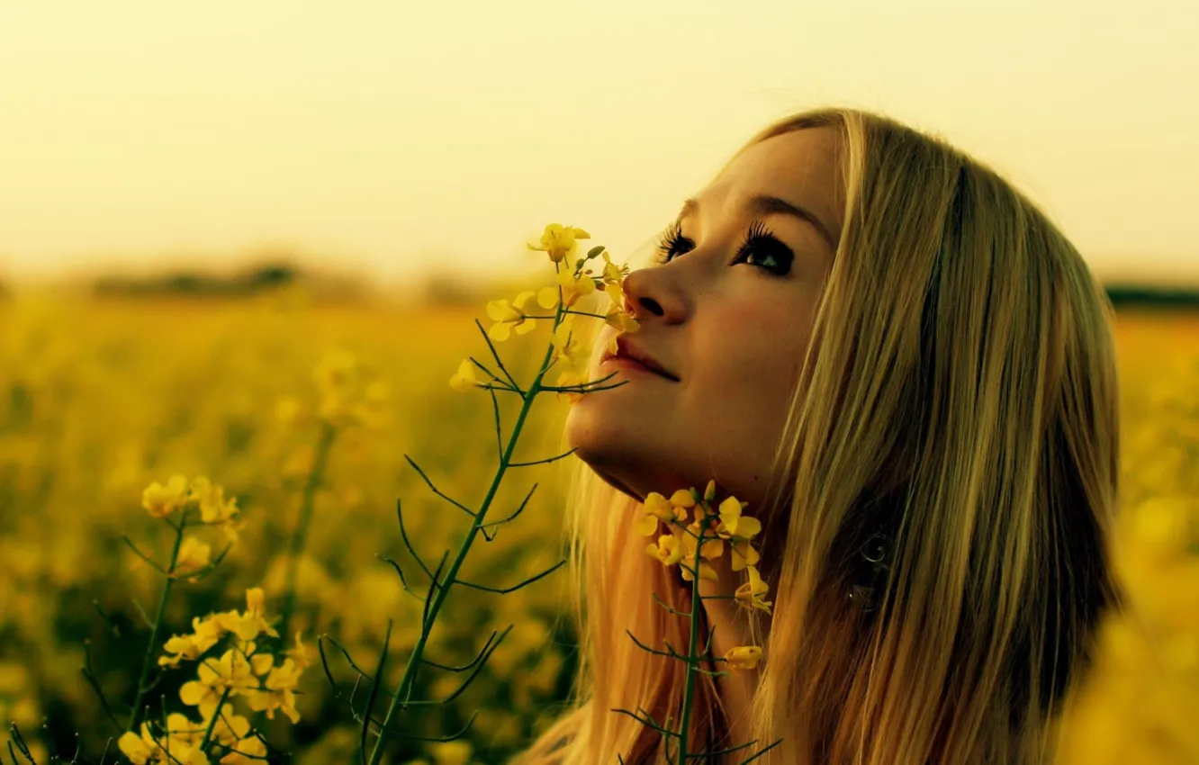 Photo wallpaper field, summer, girl, flowers, nature