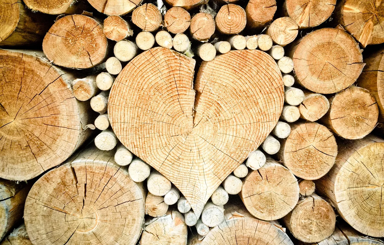 Photo wallpaper trees, circles, heart, texture, hearts, wood, wooden, wood